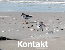banner_kontakt